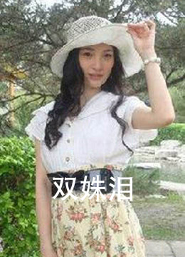 双姝泪封面图