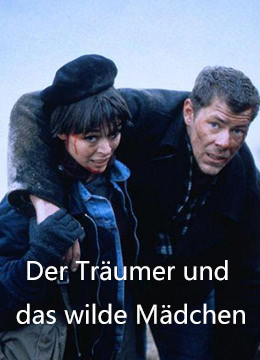 神秘的芯片（国语版）封面图