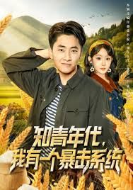 知青年代，我有一个暴击系统封面图