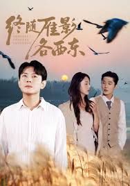 终随雁影各西东封面图