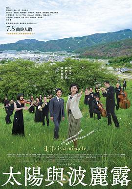 太阳与波莱罗封面图