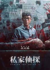 私家侦探 粤语版封面图