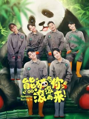 熊猫与你，滚滚而来！封面图