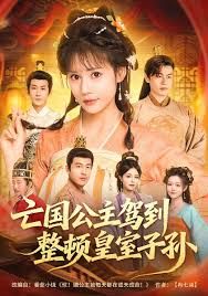 亡国公主驾到，整顿皇室子孙封面图