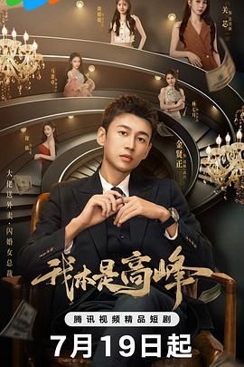 我本是高峰封面图