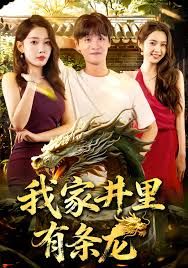 我家井里有条龙封面图