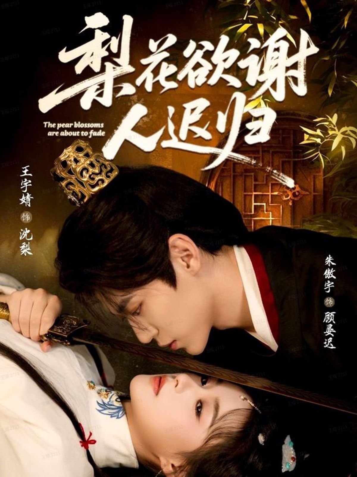 梨花欲谢人迟归封面图