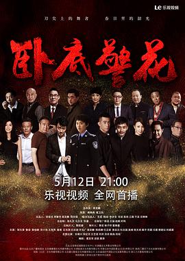 卧底警花封面图