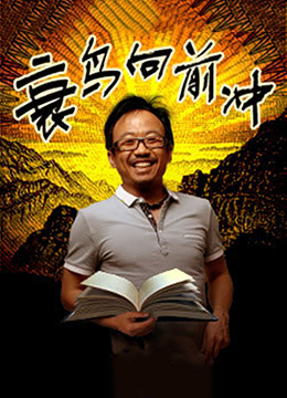 衰鸟向前冲封面图