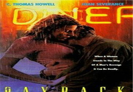 新烈火情挑封面图