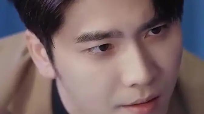 叶总来生不愿再相见封面图