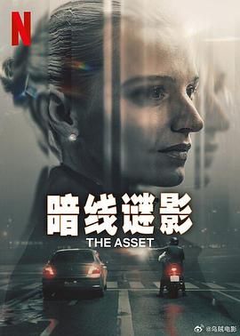 暗线谜影封面图