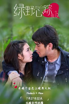 绿野心踪封面图