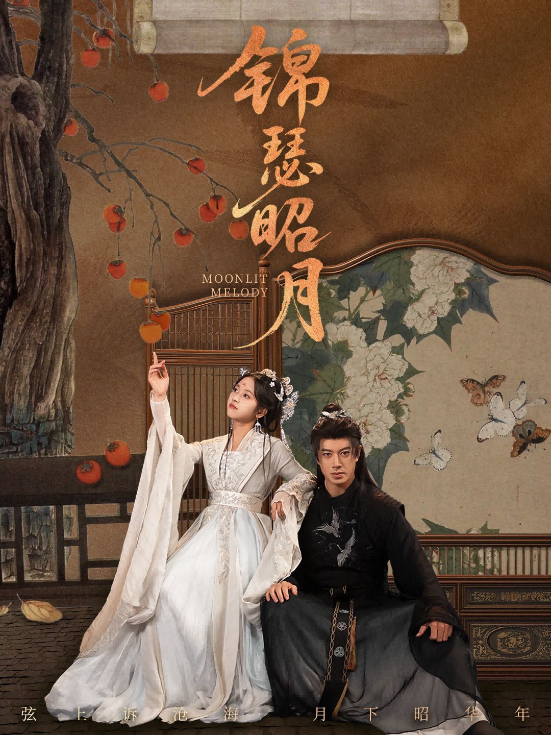 锦瑟昭月封面图