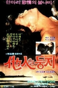 他人之巢封面图