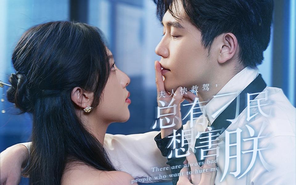 夫人快救驾，总有刁民想害朕封面图