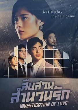 婚恋调查2封面图