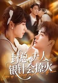 封总，夫人银针会撩火封面图