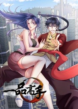一品高手封面图