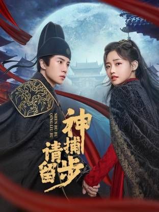 神捕请留步封面图