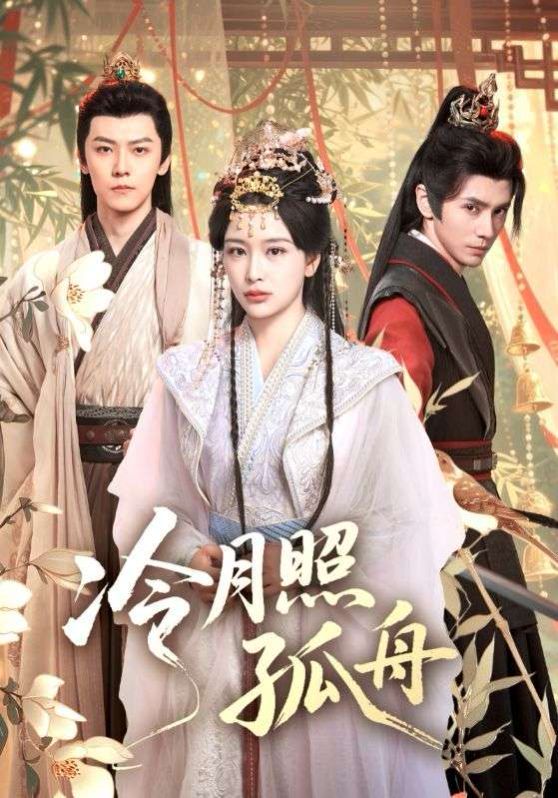 冷月照孤舟封面图