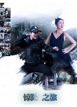 惊险之旅封面图