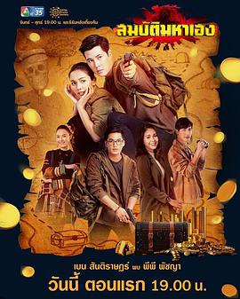 寻宝迷踪封面图