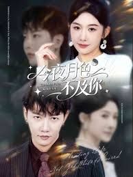 今夜月色不及你封面图