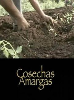 苦涩的收获封面图