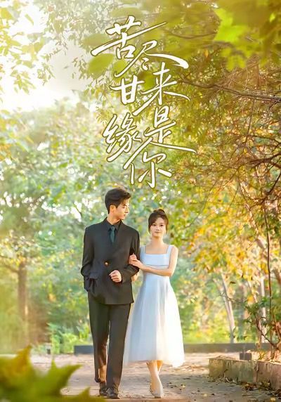 苦尽甘来缘是你封面图