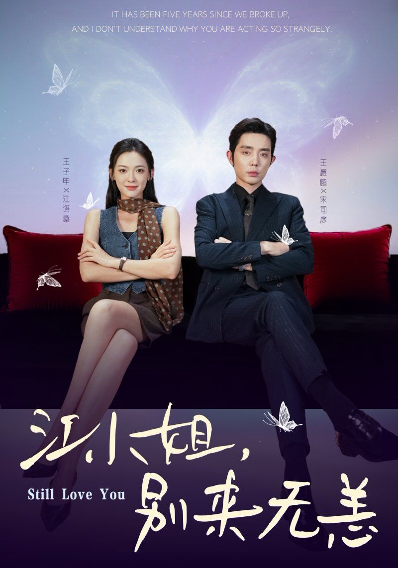 江小姐，别来无恙分手五年，宋先生别纠缠封面图