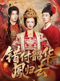 错付韶华凤归去（凤起青萍末）封面图