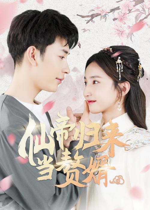 仙帝归来当赘婿封面图