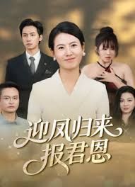迎凤归来报君恩封面图