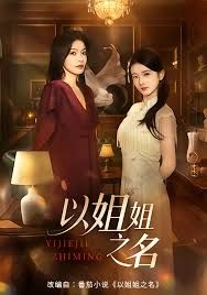 以姐姐之名封面图