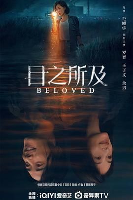 目之所及封面图