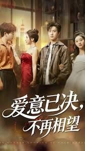 爱意已决不再相望封面图