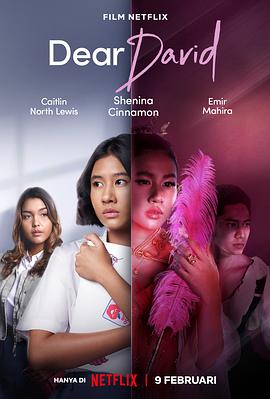 亲爱的大卫封面图