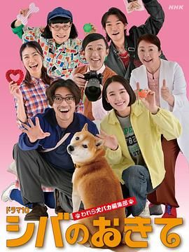 柴犬的规矩我们这群狗痴编辑部封面图