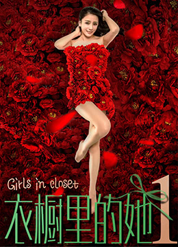 衣橱里的她1封面图