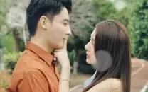 不辞春色封面图