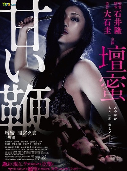 甜蜜皮鞭封面图