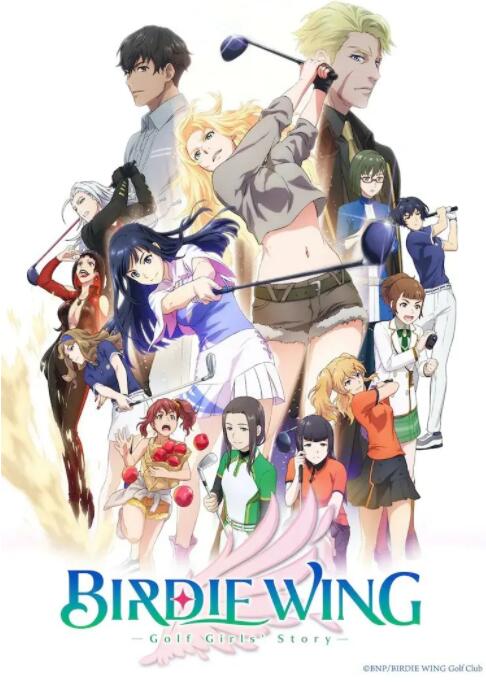 小鸟之翼封面图