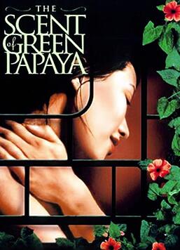 青木瓜之味封面图