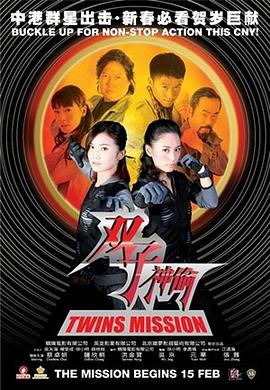 双子神偷封面图