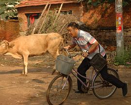 你有素质吗封面图