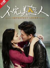 不完美恋人封面图