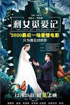 剩女觅爱记封面图