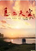 鸟的天空封面图