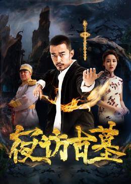 夜访古墓封面图